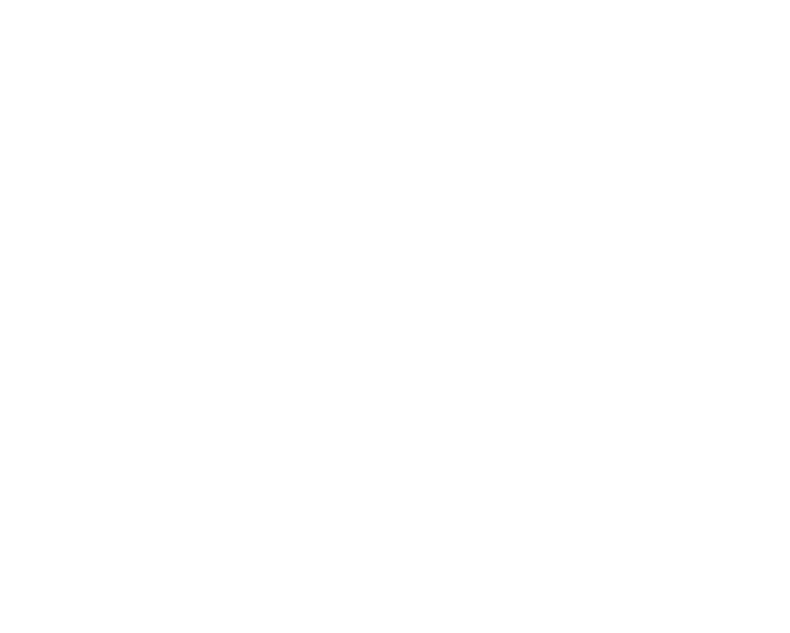 Mom's Best Friend Senior Care